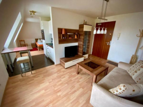 Apartment Kamelienweg by Interhome